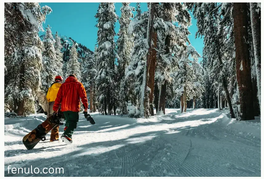 Here are some experiences you can enjoy on this trip.